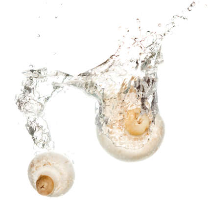 mushrooms champignons in water isolated on white background .の写真素材
