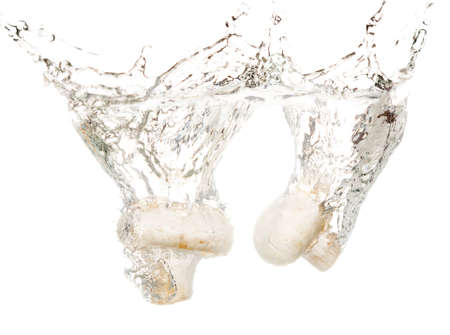 mushrooms champignons in water isolated on white background .の写真素材