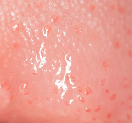 human language. close-up .の写真素材