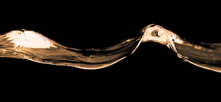 Water smooth with splashes on a black background .の写真素材