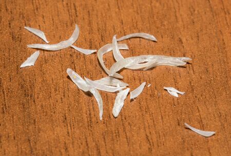 cropped nails on wooden background. macro .の写真素材