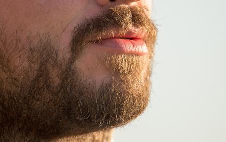 Overgrown bristle in a man on a beard .の写真素材