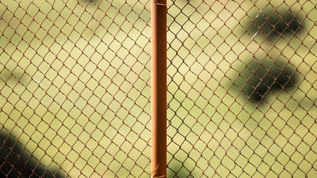 metal mesh on the fence as a background .の写真素材