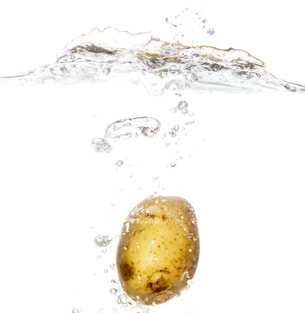 potatoes in water isolated on white background .の写真素材