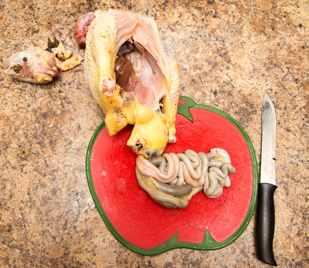 The cook cuts the chicken with a knife .