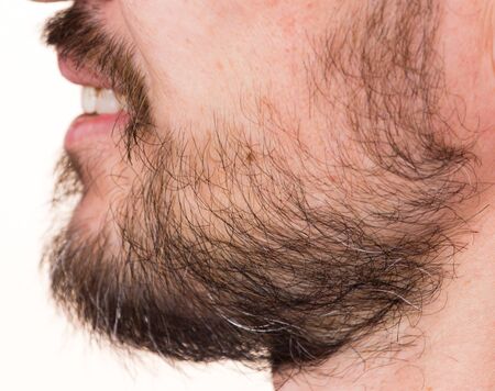 Overgrown bristle in a man on a beard .の写真素材