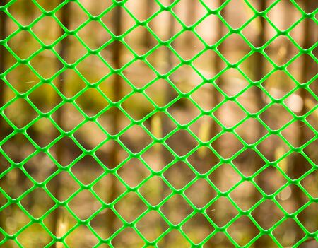 Green grid on the fence as a backgroundの写真素材