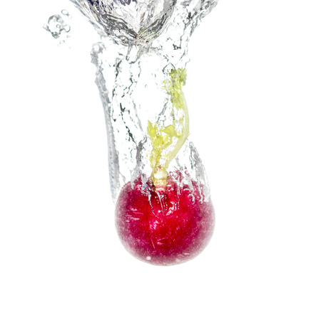 radish in water isolated on white backgroundの写真素材