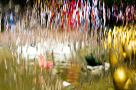 Wall from water falls on nature as background .の写真素材