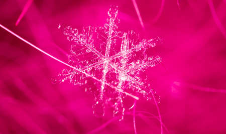 White snowflake on a pink background. Macroの写真素材