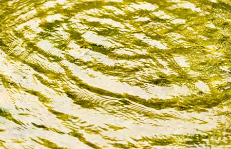 Circles on the smooth surface of the water on the river .の写真素材