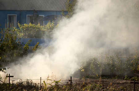 Smoke from fire in the garden at the cottage .の写真素材
