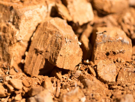 Old wood on nature as an abstract background .