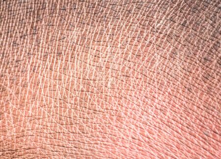 Leather hippo as a background. Abstract textureの写真素材