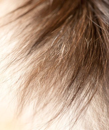 Wool of a fluffy cat as a background .の写真素材
