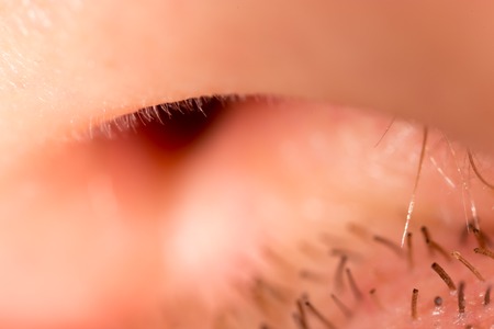 Bristles on the mustache of a man. Macroの写真素材