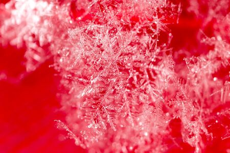 Snowflake on a red feather as a background. Macroの写真素材