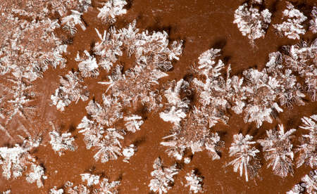 A snowflake on a brown fence as a background. Macro