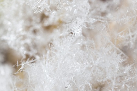 Small snowflakes on nature as background. Macroの写真素材
