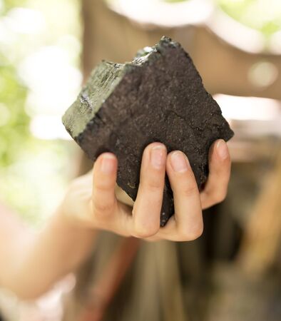 Black coal for shish kebab in hand .の写真素材