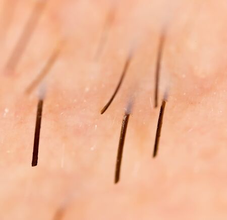 Bristles on the beard of a man. Macro