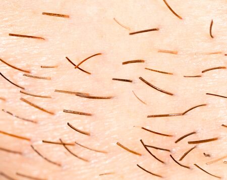 Bristles on the beard of a man. Macroの写真素材