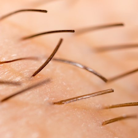 Bristles on the beard of a man. Macroの写真素材