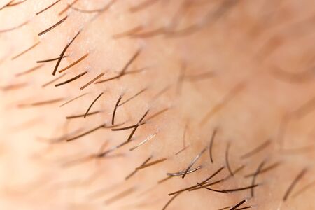 Bristles on the beard of a man. Macroの写真素材