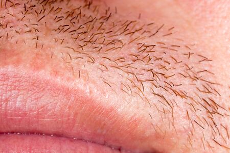 Bristles on the mustache of a manの写真素材