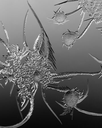 Black and white drawings on the glass in the frostの写真素材