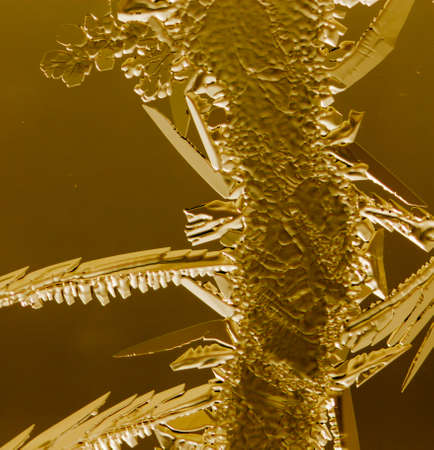 Gold drawings on the glass in the frost