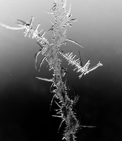 Black and white drawings on the glass in the frost .