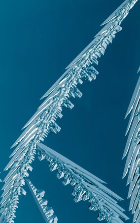 Blue drawings on the glass in the frost .の写真素材