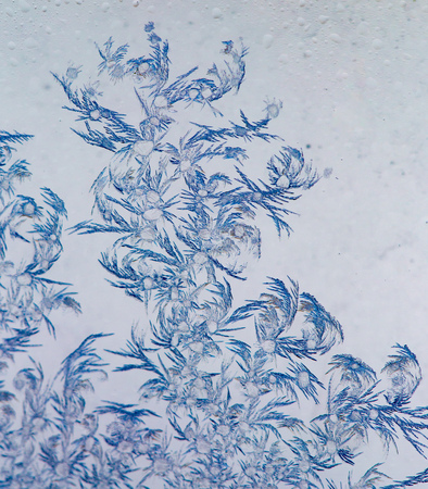 Figures on the glass from the frost at sunrise as a background .