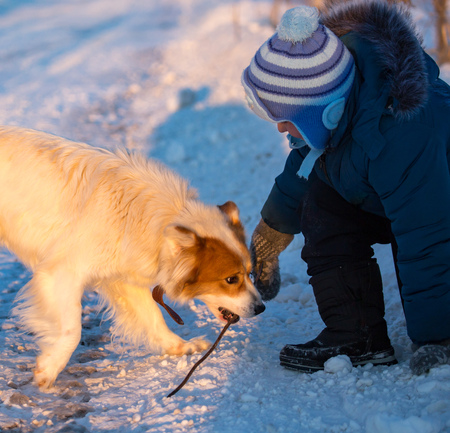 A boy with a dog in the rays of a sunset on the snow .の写真素材