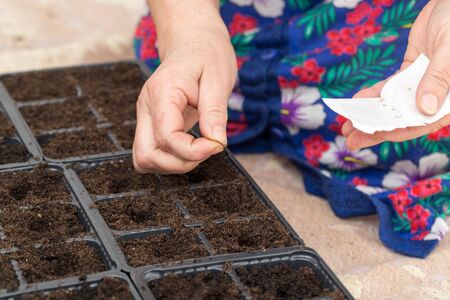A woman planting seeds in the ground at home .
