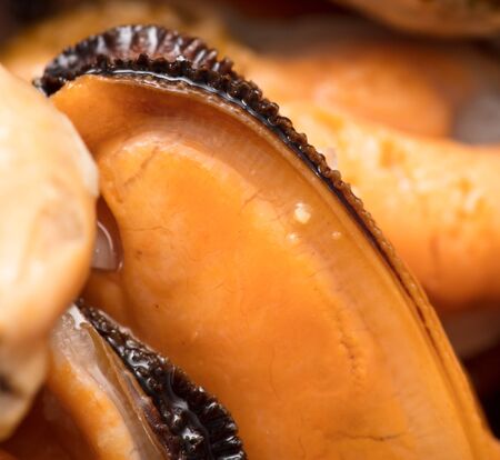 Orange mussels meat as a background