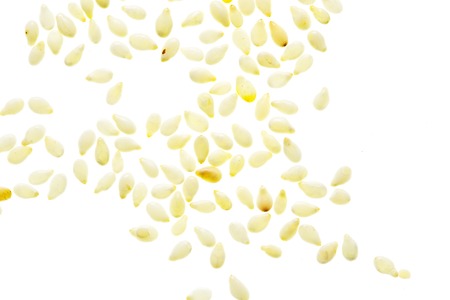 Sesame seeds isolated on white background. Macroの写真素材