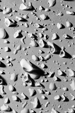 Drops of water with shadow on white background .の写真素材