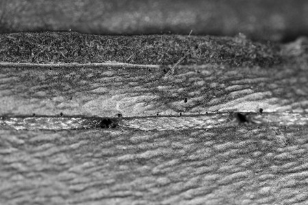 Thread seam on black leather material as background .の写真素材