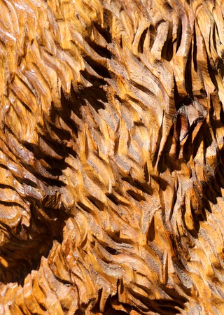 Wood carving is varnished as a background .の写真素材