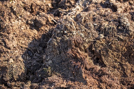 Fertilizer from manure as an abstract background. Textureの写真素材