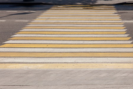 Zebra at the pedestrian crossing on the road .