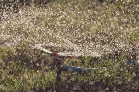 Splashing water to water the lawn as a background .の写真素材