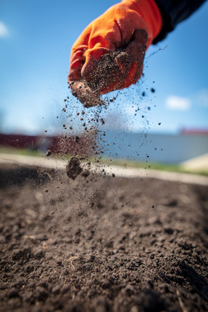 The ground is scattered in the hand in the garden .の写真素材
