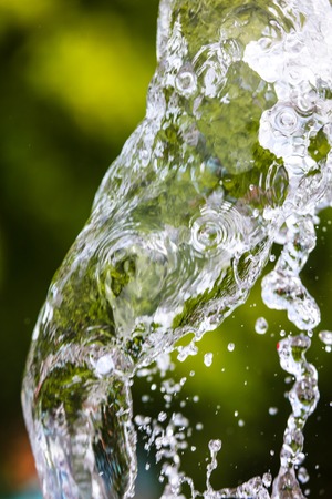 Splashing water against a background of green nature .