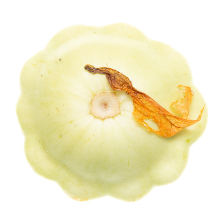 Ripe white patisson isolated on white background .の写真素材