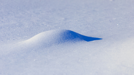 Cold snow on nature in winter as background .の写真素材