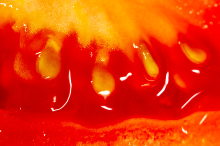 Red tomato in a cut as a background. Macroの写真素材