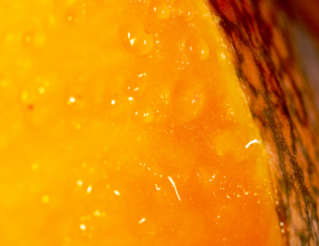 Drops of juice on pumpkin pulp as abstract background .の写真素材